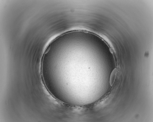 X0000094220815200711021138