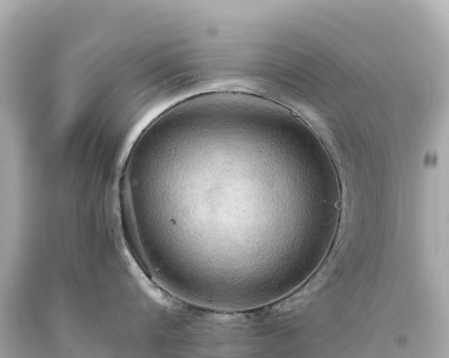 X0000094220816200711021138