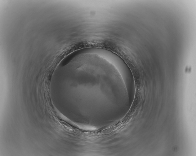 X0000094220817200711021137