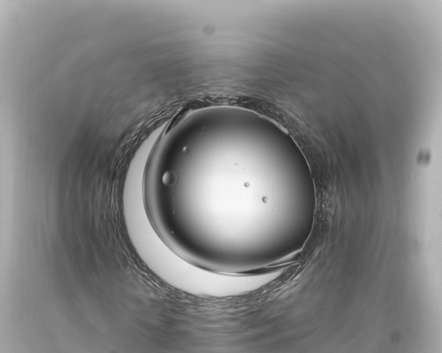 X0000094220818200711021137