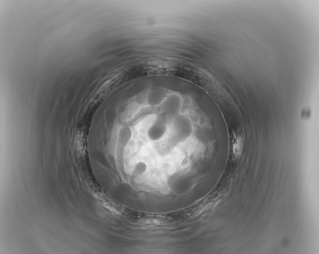 X0000094220819200711021137