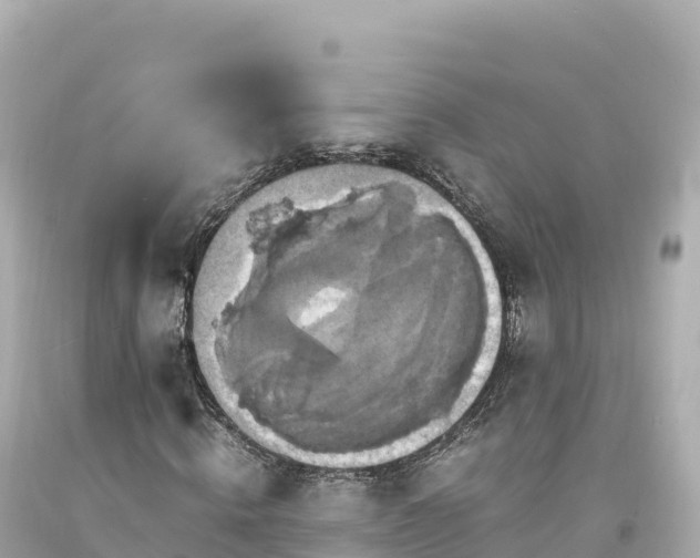 X0000094220820200711021137