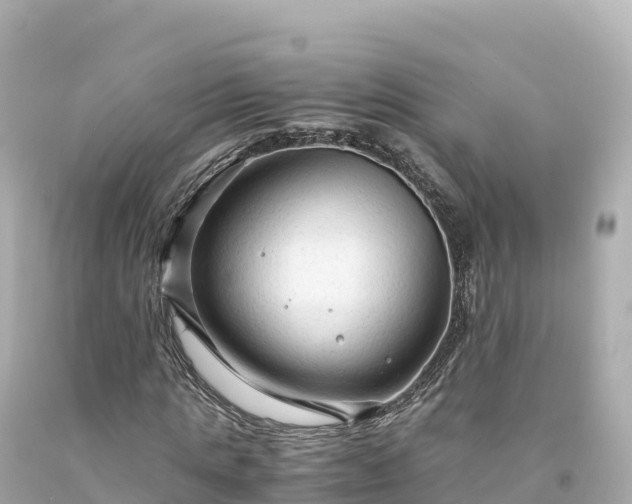 X0000094220821200711021137