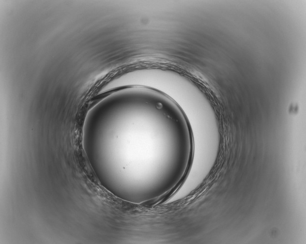 X0000094220822200711021137