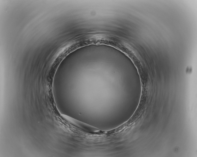 X0000094220823200711021137