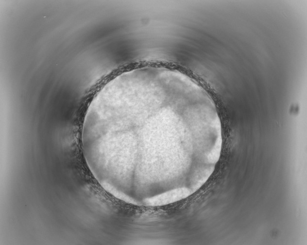 X0000094220824200711021137