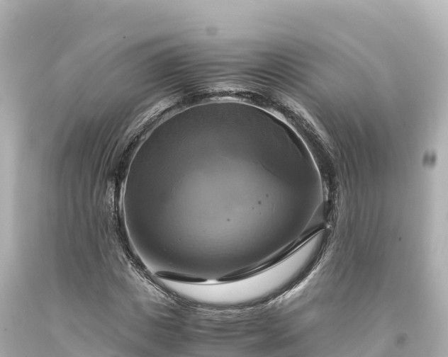 X0000094220825200711021137