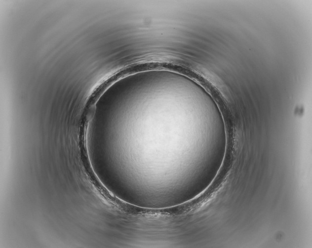 X0000094220826200711021137