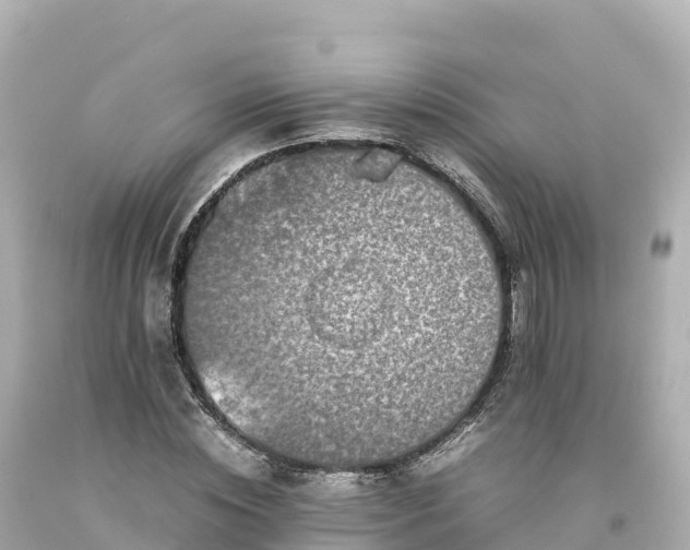 X0000094220828200711021137