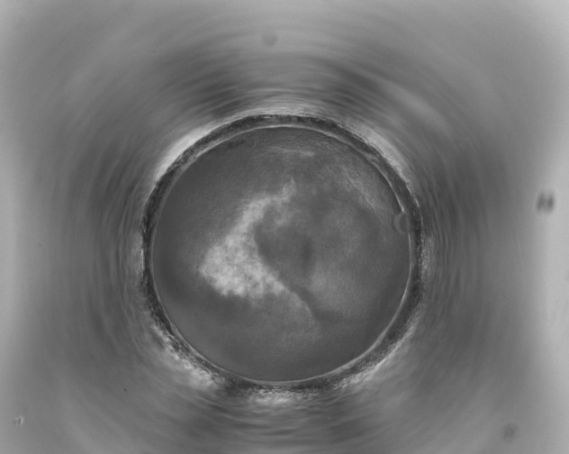 X0000094220829200711021137