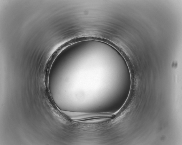 X0000094220830200711021137