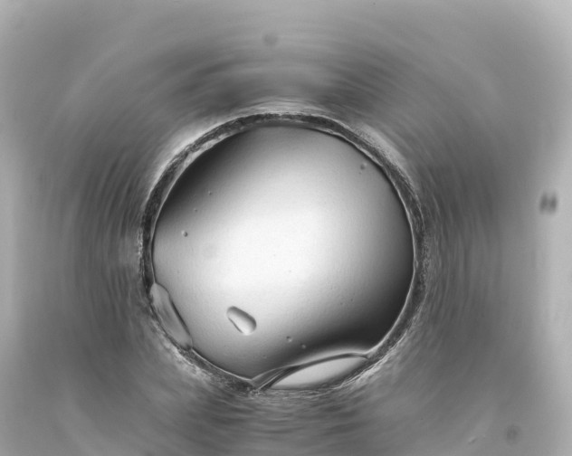 X0000094220831200711021137