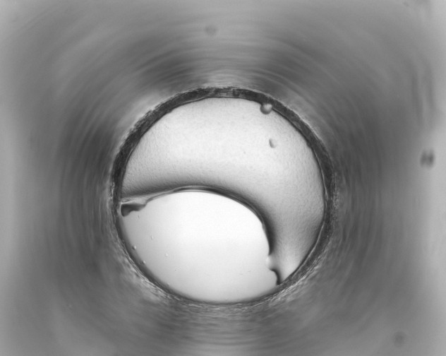 X0000094220832200711021137