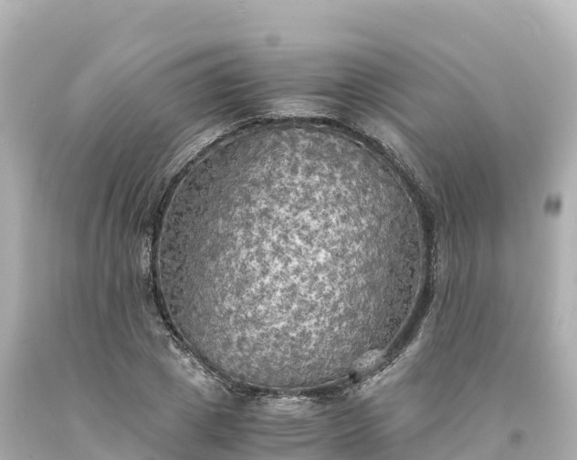 X0000094220833200711021137