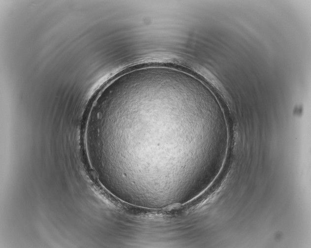 X0000094220834200711021137