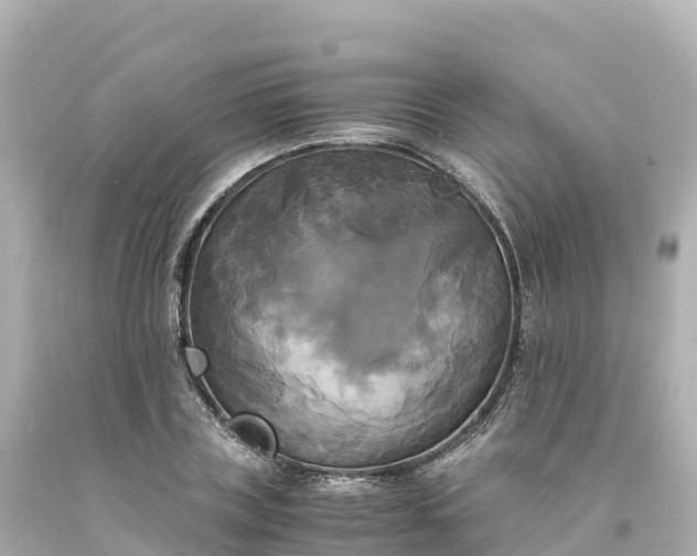 X0000094220835200711021137