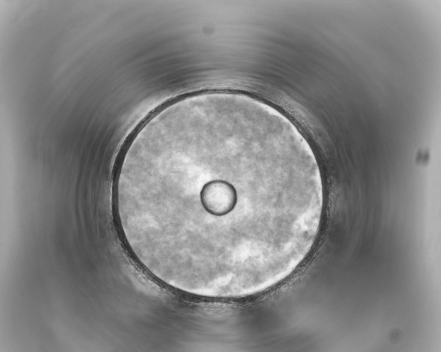 X0000094220836200711021137