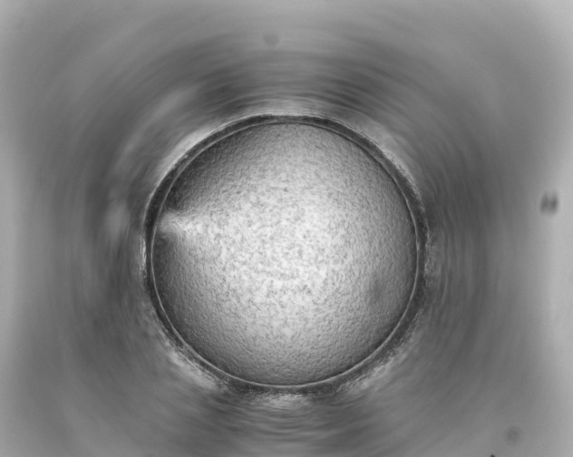 X0000094220837200711021137