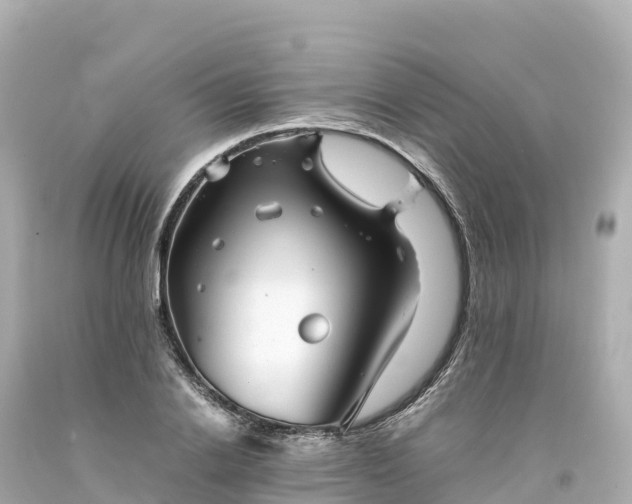 X0000094220838200711021137