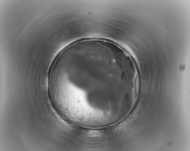 X0000094220839200711021137