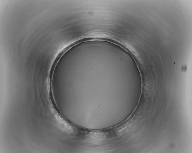 X0000094220840200711021137