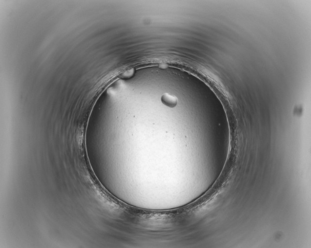 X0000094220841200711021137