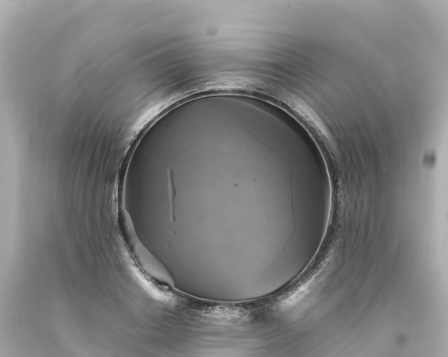 X0000094220842200711021137