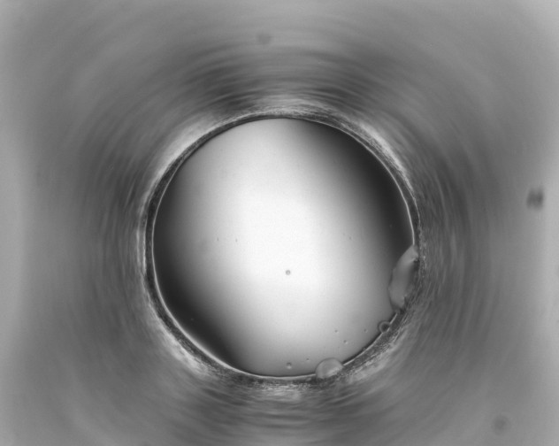 X0000094220843200711021137