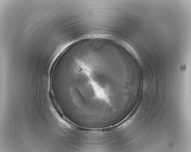 X0000094220844200711021137