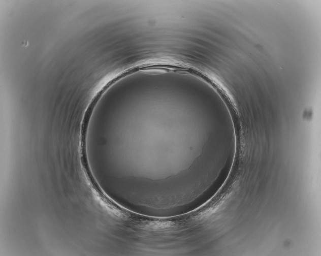 X0000094220845200711021137