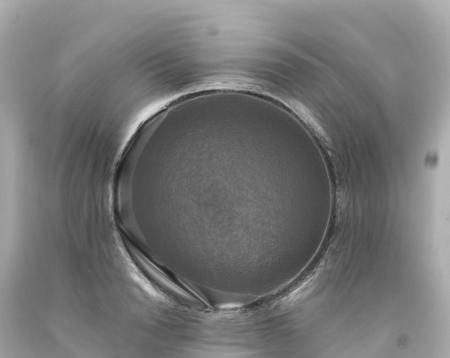 X0000094220846200711021137