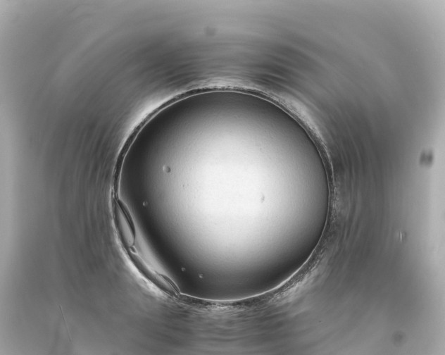 X0000094220847200711021137