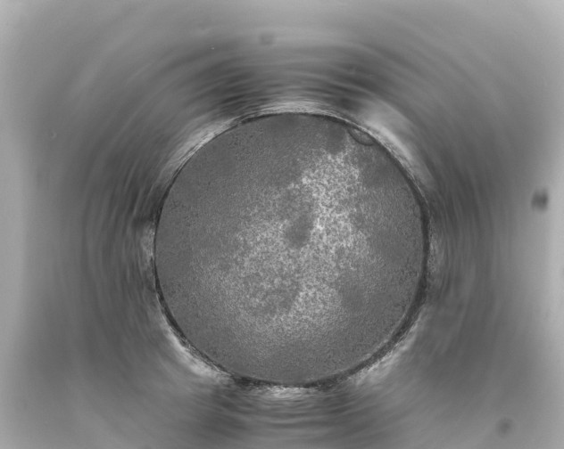 X0000094220849200711021138