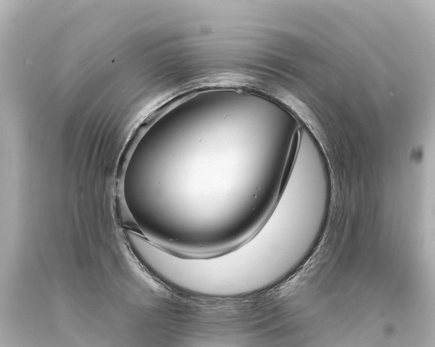 X0000094220850200711021138