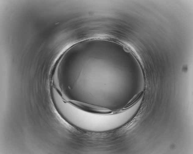 X0000094220851200711021138