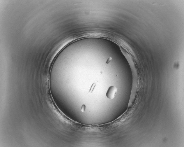 X0000094220852200711021138