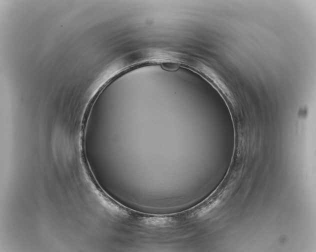 X0000094220853200711021138