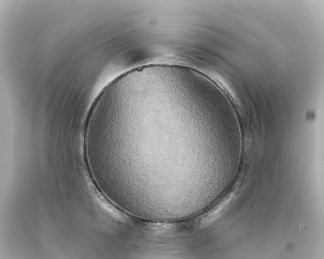 X0000094220854200711021138