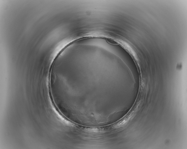 X0000094220855200711021138