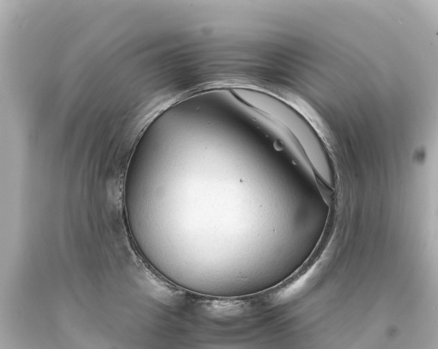 X0000094220857200711021138