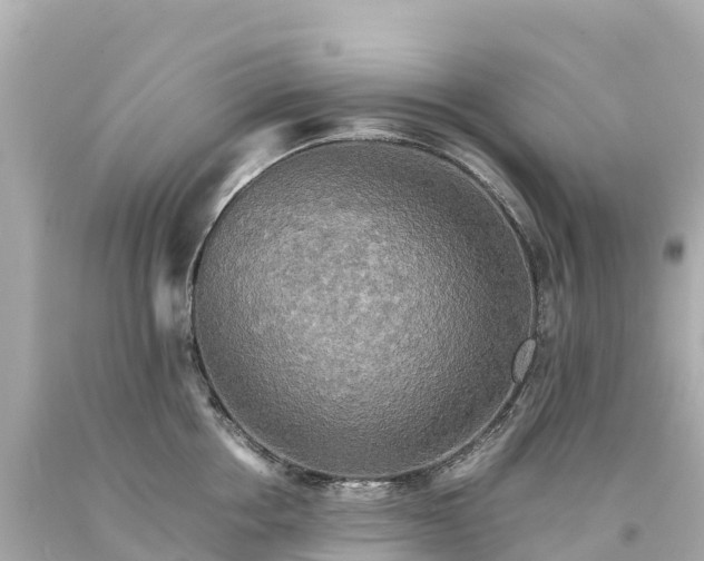 X0000094220858200711021138