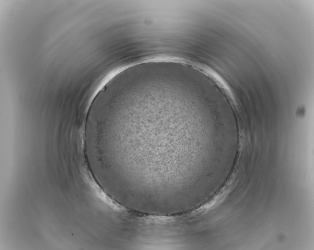 X0000094220860200711021138