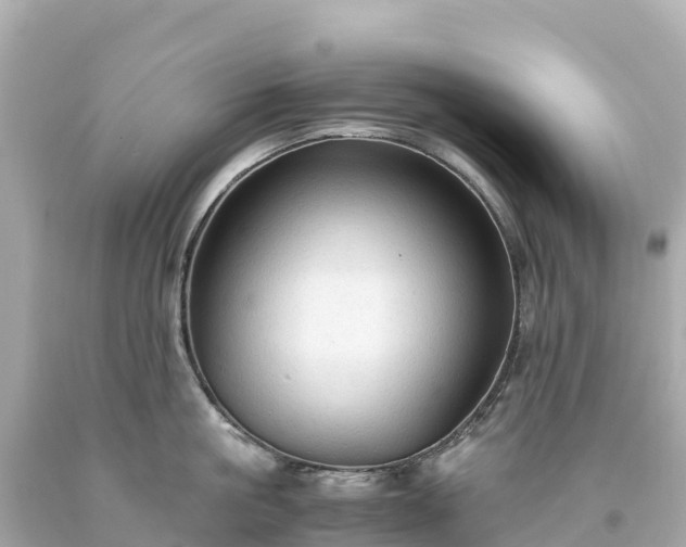 X0000094220861200711021138