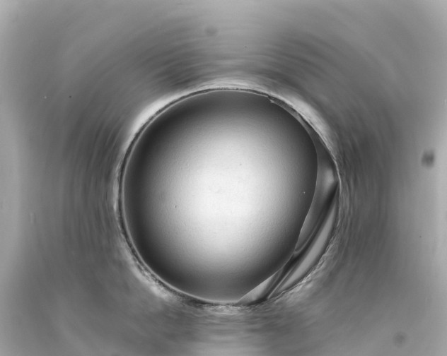 X0000094220862200711021138