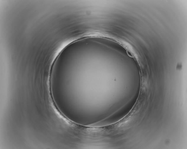 X0000094220863200711021138