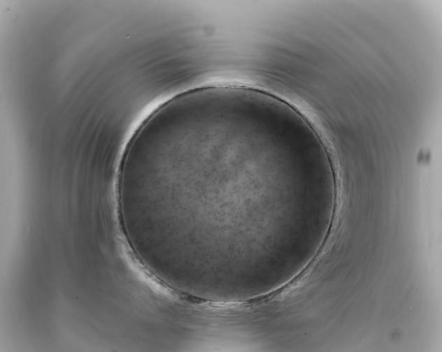 X0000094220864200711021138