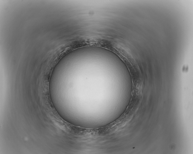 X0000094220865200711021137