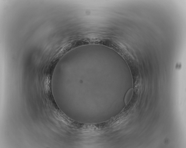 X0000094220866200711021137