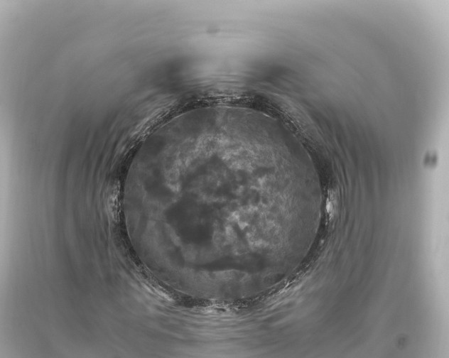 X0000094220867200711021137