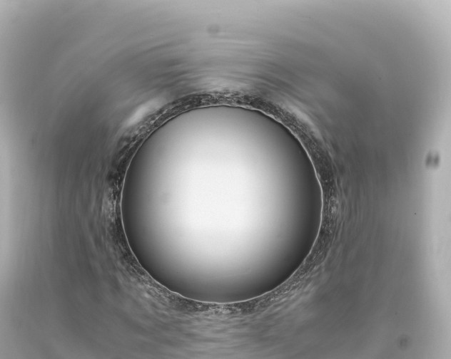 X0000094220869200711021137